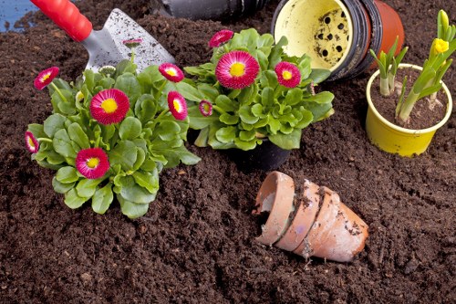 Garden maintenance work in an Orpington residential garden