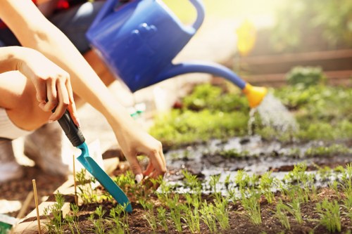 Professional patio cleaning in Orpington removing moss and dirt