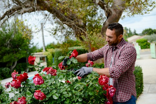 Gardening service terms and conditions introduction