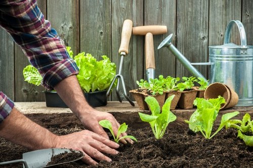 Gardeners Orpington modern slavery statement illustration