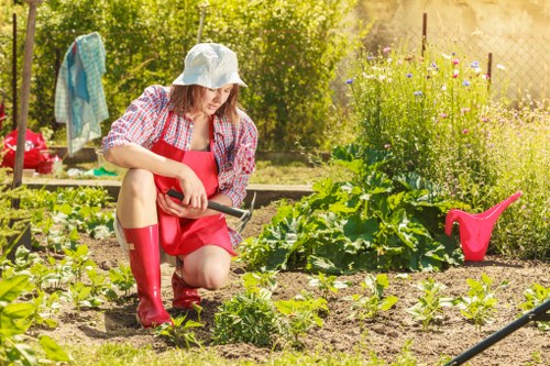 Seasonal garden maintenance in an Orpington backyard
