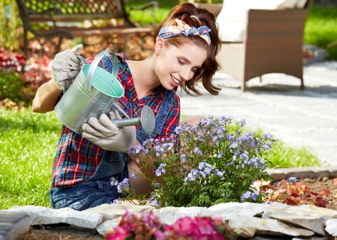 Professional garden maintenance services in Orpington