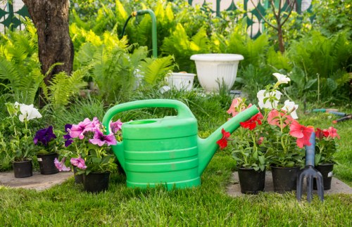 Professional gardeners in Orpington completing a safe tidy finish
