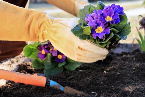 Cubic-yard garden clearance pricing for Orpington properties