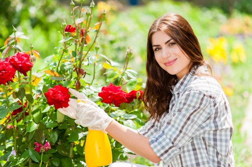 Professional gardening services in Orpington for residential and business properties