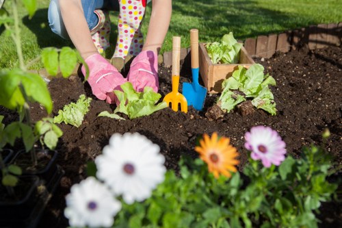 Professional Orpington gardening improving garden structure