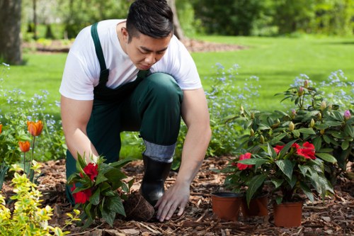 Weed control and tidy garden borders in Orpington