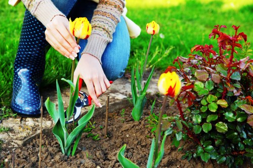 Seasonal shrub and hedge care for Orpington gardens