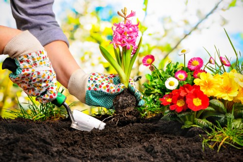 Front garden landscaping project in Orpington