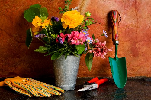 About us garden care team in Orpington