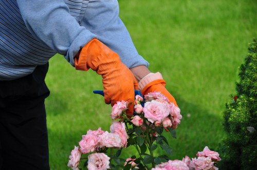 Professional resolution process for gardening concerns