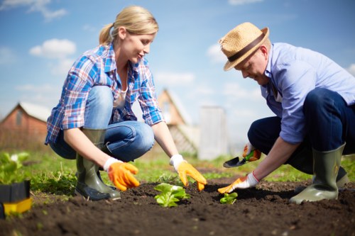 Healthy planting and lawn care by gardeners in Orpington