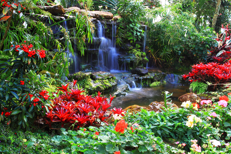 garden care Garden