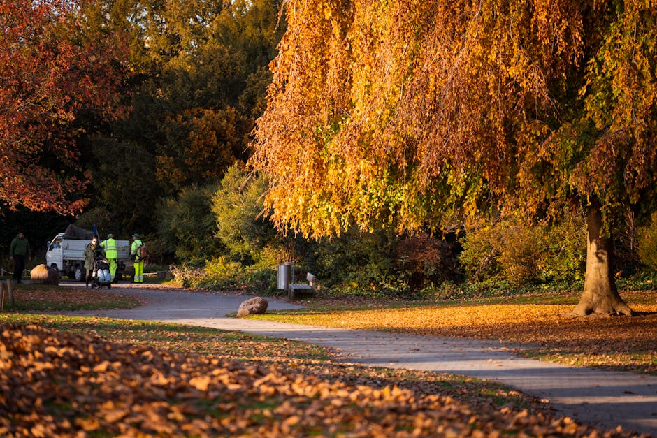 A peaceful park scene during autumn featuring a large deciduous tree with vibrant orange and yellow leaves hanging over a paved pathway. The ground is scattered with fallen leaves, and the soft, warm