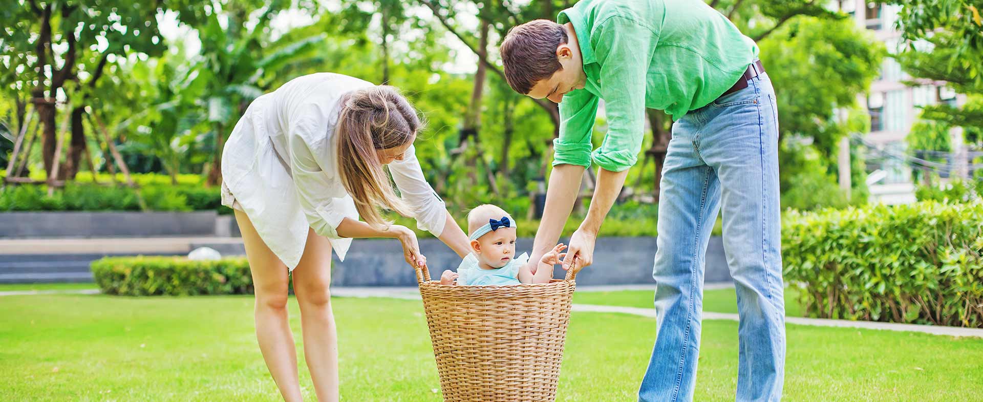 Gardeners Orpington