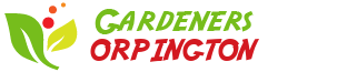 Gardeners Orpington